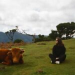 A person sits quietly on the grass near a resting cow in an open landscape, turned toward the animal with mountains and trees in the distance.